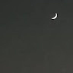 Meet your Posher, Bella